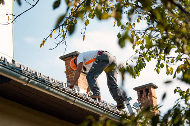 Best Roof Restoration Services  in George, IA