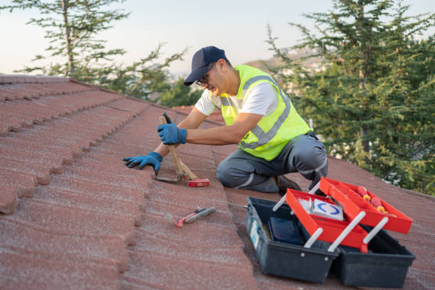 Best Best Roofing Contractors  in George, IA