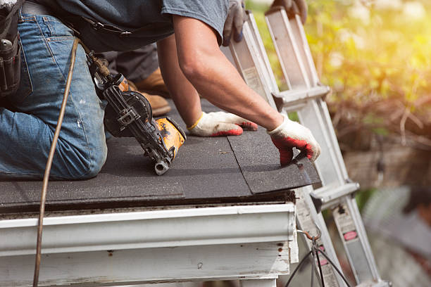 Best Roof Maintenance Services  in George, IA